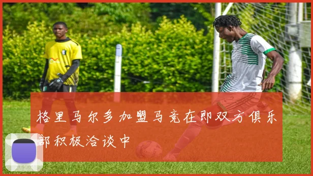 格里马尔多加盟马竞在即双方俱乐部积极洽谈中