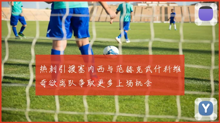 热刺引援塞内西与范赫克武什科维奇欲离队争取更多上场机会